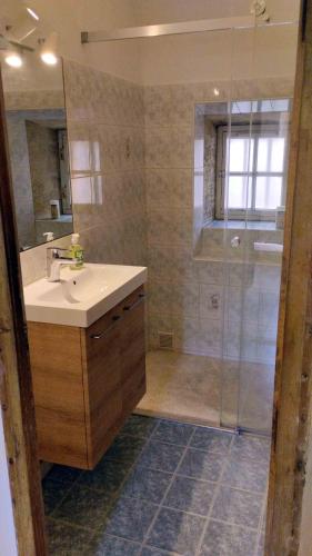 a bathroom with a sink and a shower at Baignade devant la maison ! in Remoulins