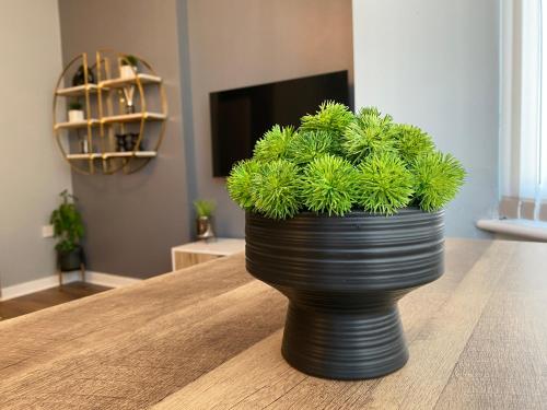 a black vase sitting on a table with a plant at Pendle House - Apt 4 - 3 min walk to beach & Shops! in Colwyn Bay