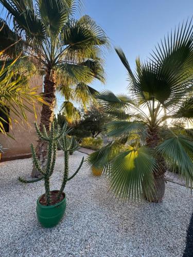 Jardín al aire libre en Splendide Villa avec piscine