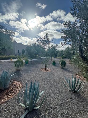 Jardín al aire libre en Splendide Villa avec piscine