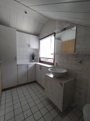 Et badeværelse på Nova Zembla