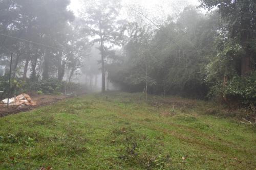 Un paisaje natural cerca del hotel