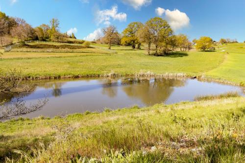 a pond in the middle of a grassy field at Gite La Grange - Perigord Vert in Saint-Martial-dʼAlbarède