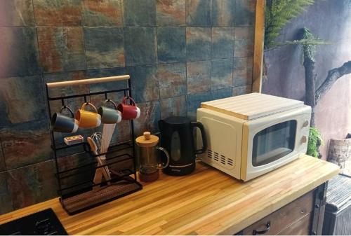 サン・ピエールにあるLe Tropical Lodgeの電子レンジ