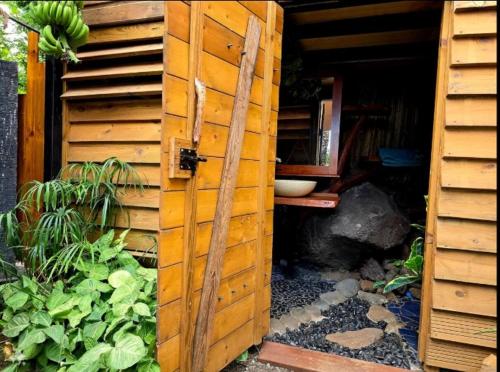 サン・ピエールにあるLe Tropical Lodgeのギャラリーの写真