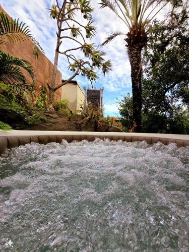 サン・ピエールにあるLe Tropical Lodgeのギャラリーの写真