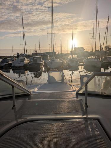 a group of boats are docked in a marina at Sunset River in Figueira da Foz