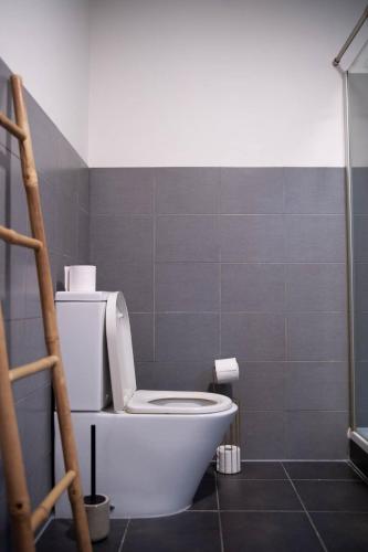 a bathroom with a white toilet and a shower at Gaston vakantiehuis in Geraardsbergen