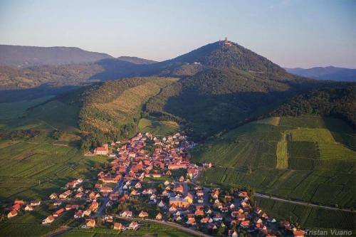 Appartement - Atelier Ayurvédique - Aline et Oliver
