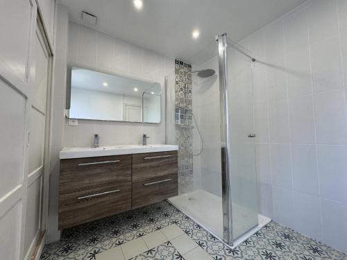 une salle de bain avec une douche, un lavabo et un miroir dans l'établissement Le Maki - 10 pers - Rêve au Mans, au Mans