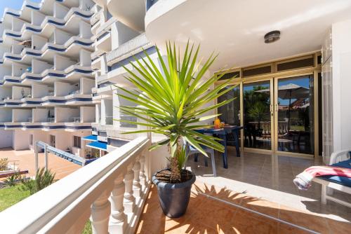 Tamaran Garden View Apartment
