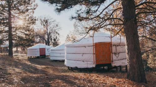 Fotografie z fotogalerie ubytování Cosy yurt at a nature retreat v destinaci Miramonte