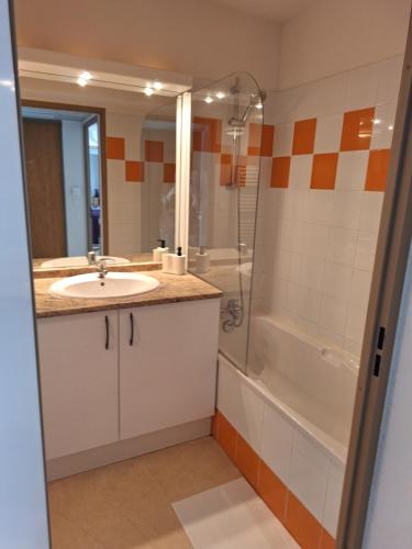 une salle de bain avec un lavabo et une douche dans l'établissement Apartment t3, à Vernet-les-Bains