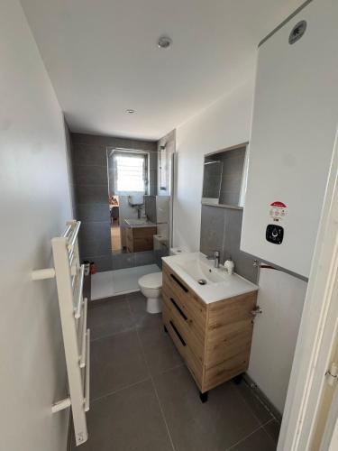 une salle de bain avec un lavabo et des toilettes dans l'établissement T2 Rénové St-Priest centre avec Parking Privé, à Saint-Priest