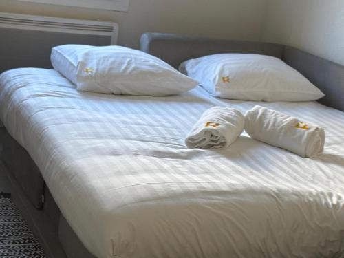 Photo de la galerie de l'établissement R'Apparts Studio Le Nid Douillet, à Grenoble