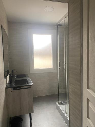 une salle de bain avec un lavabo et une douche en verre dans l'établissement Les orchidées, à Lurbe-Saint-Christau