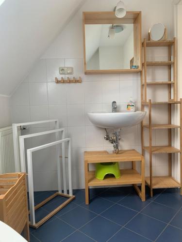 a bathroom with a sink and a mirror at Ferienhaus Jastoria in Sassnitz