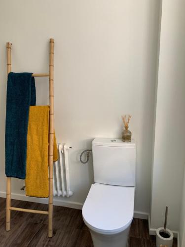 La salle de bains est pourvue de toilettes blanches et d'un porte-serviettes. dans l'établissement Maison de ville au bord des berges du Tarn, à Albi