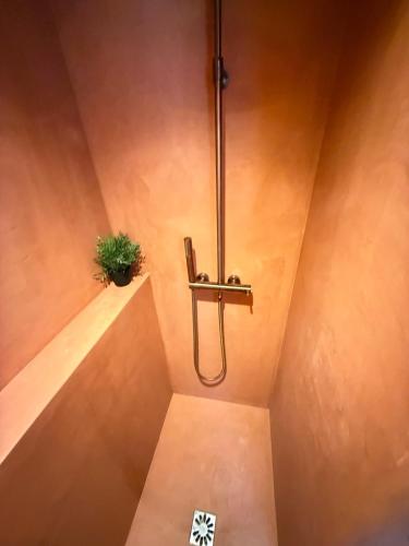 La salle de bains est pourvue d'une douche et d'une plante en pot. dans l'établissement Votre écrin méditerranéen aux portes de Paris, à Montreuil