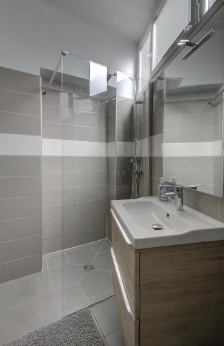 une salle de bain avec un lavabo et une douche en verre dans l'établissement Saint Genevieve Chic, à Lyon