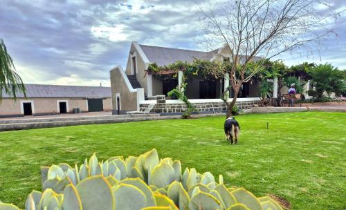Gallery image of The Old Farmhouse - Farm Stay in Kruidfontein