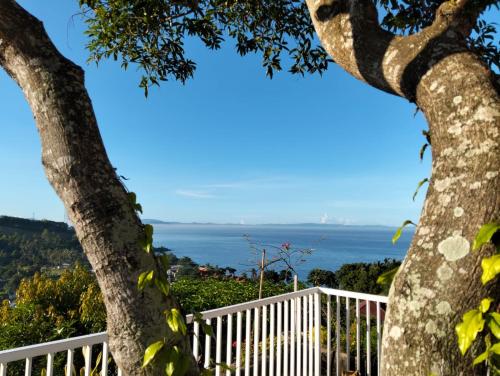 a view of the ocean from between two trees at Arirang Sea View Homestay in Senggigi 
