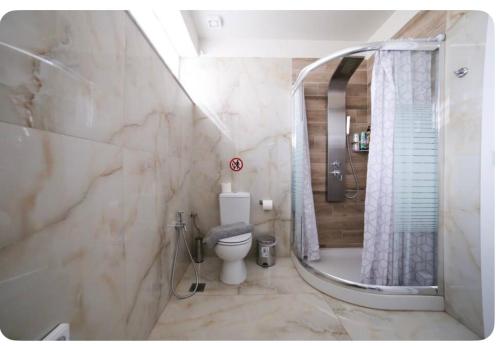 a bathroom with a toilet and a shower at Home4U apt1, just 8Km from airport in Markopoulo