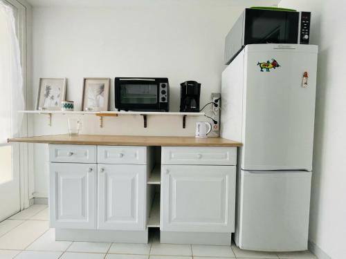 La cuisine est équipée d'un réfrigérateur blanc et d'un four micro-ondes. dans l'établissement Douce Halte en Famille - 379, à Sotteville-lès-Rouen