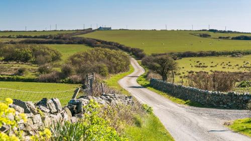 a dirt road in the middle of a field at Swn y Mor Trefadog in Llanfaethlu