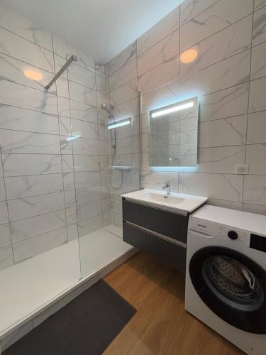 une salle de bain avec une machine à laver et un lavabo dans l'établissement L'hacienda au coeur de La Roche sur Foron, à La Roche-sur-Foron