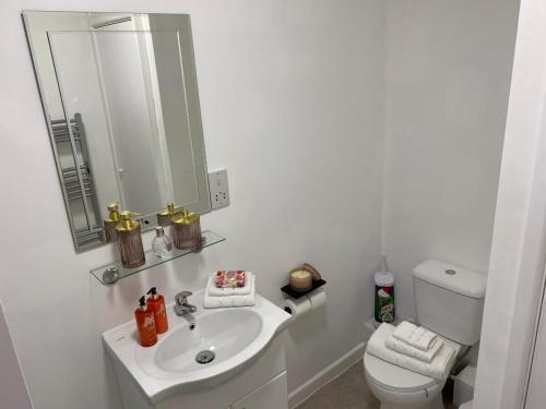 a bathroom with a sink and a toilet and a mirror at Charming 2- Bedroom Apartment in Watford