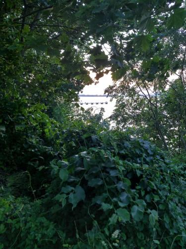 アパートメントの近くで見られる自然の景観