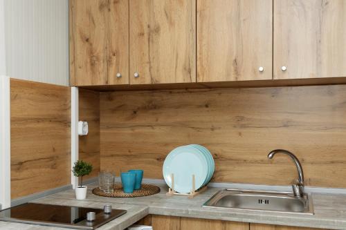 a kitchen counter with a sink and wooden cabinets at KRAPEC Beach in Krapets