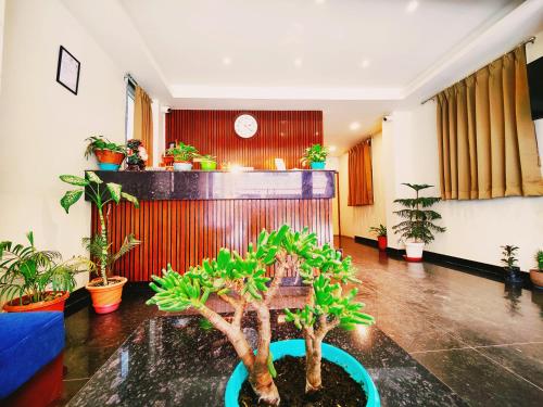 a room with potted plants on the floor at Jo'stel Dream Glory Hotel and Bar - Near MG Marg in Gangtok
