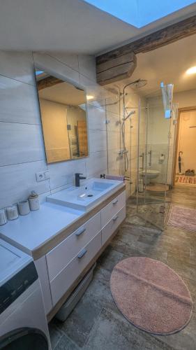 a bathroom with a sink and a mirror and a shower at Heu und Himmel Loft in Innsbruck
