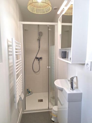 une salle de bain avec une douche, des toilettes et un lavabo dans l'établissement La Maisonnette Notre Dame - Terrasse privative - Hypercentre - 50m Bords de Loire - 4 personnes, à Orléans