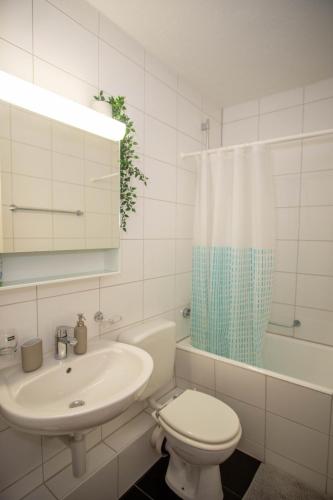Central Studio Apartment with free BaselCard - Matisse