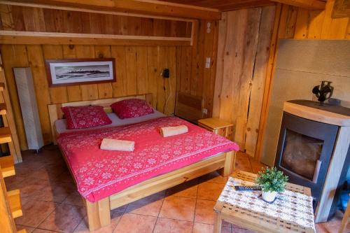 a bedroom with a bed with red pillows and a fireplace at Dovolenkový dom Ela pets friendly in Poprad