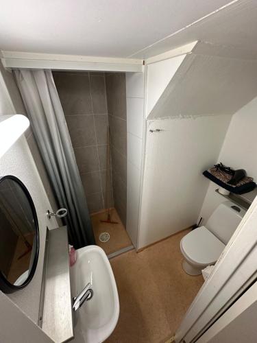 une petite salle de bain avec toilettes et lavabo dans l'établissement Cozy 2-bedroom apartment in the city centre, à Tromsø