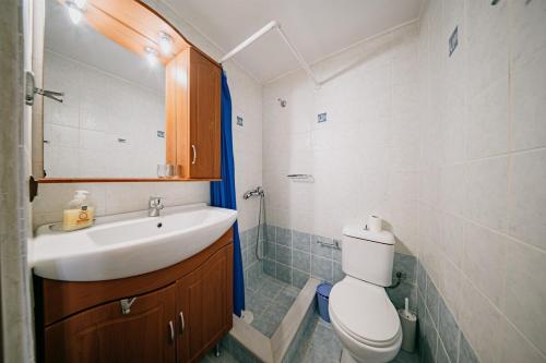 a bathroom with a sink and a toilet and a mirror at Traditional house in Kalamoti Agios Georgios in Kalamoti