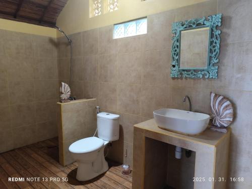a bathroom with a toilet and a sink and a mirror at Beach House on Gamat Bay in Nusa Penida