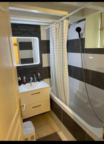 une salle de bain avec douche et lavabo dans l'établissement Loft 75m2, à Caluire-et-Cuire