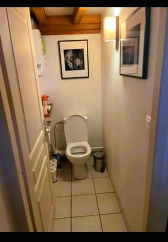 Elle comprend une petite salle de bains pourvue de toilettes. dans l'établissement Loft 75m2, à Caluire-et-Cuire
