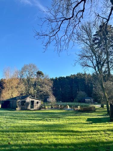 a house in a field of green grass at Riverside Cabins in Shrewsbury