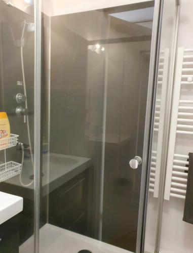 une douche avec une porte vitrée dans une salle de bain dans l'établissement Appartement, à Bray-Dunes