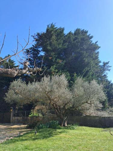 Κήπος έξω από το Villa proche de l Ardèche