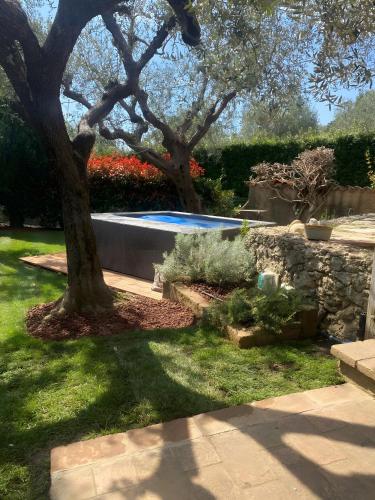 a garden with a tree and a swimming pool at Greg's House in Santa Lucia