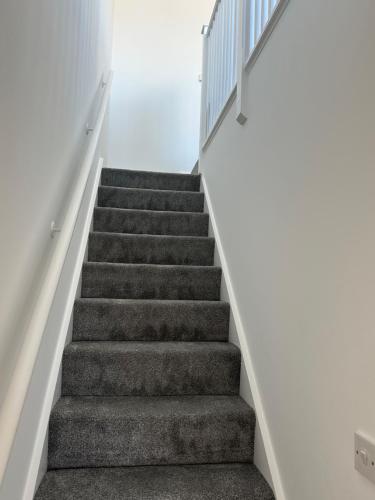 a staircase in a house with grey carpet at Quayside in Holyhead