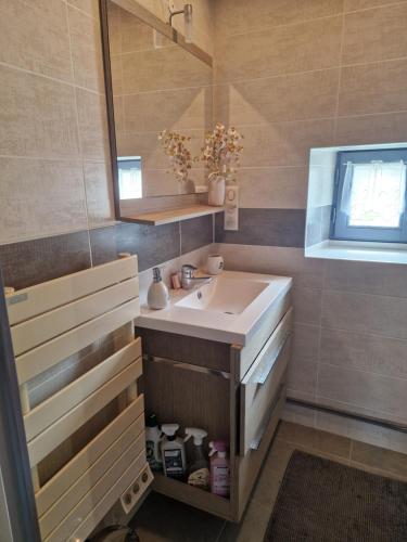 une salle de bain avec un lavabo et un miroir dans l'établissement Maison gîte proche du Château de Chambord, à Maslives