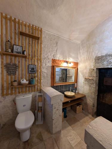 une salle de bain avec toilettes et lavabo dans l'établissement Le Donjon Beauvoir - appartement insolite au centre de Blois, à Blois